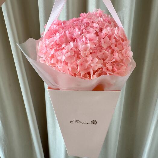 Гортензия стабилизированная розовая в подарочной упаковке