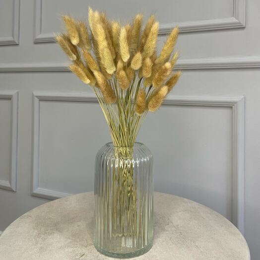 Natural unpainted lagurus (rabbit tails)
