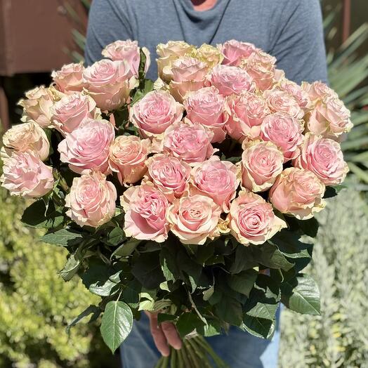 Roses Ecuador 25 pieces