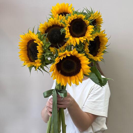 7 подсолнухов 🌻