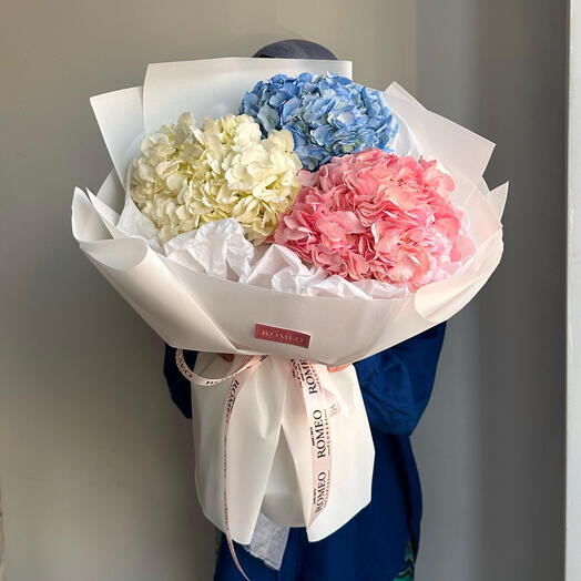 Моно букет из 3 гортензий