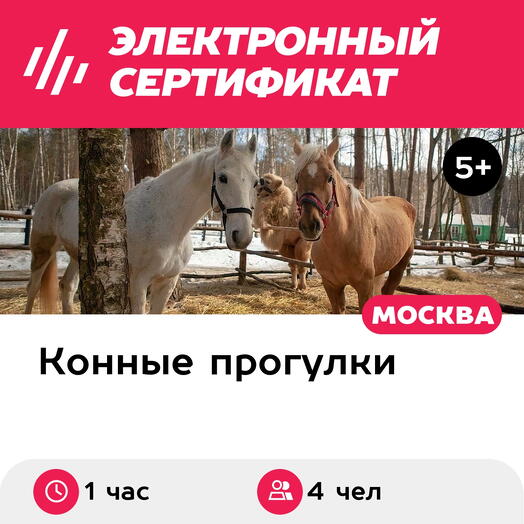 Подарочный сертификат Индивидуальная конная прогулка, 4 чел., будние дни (1 час)