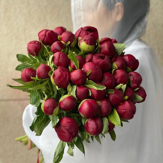 Пион Бордо 35