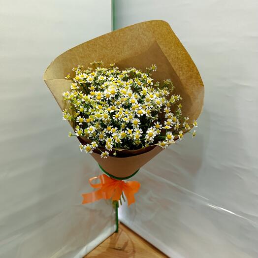 Букет из 9 шт. кустовые ромашки, танацетум, матрикария с оформлением