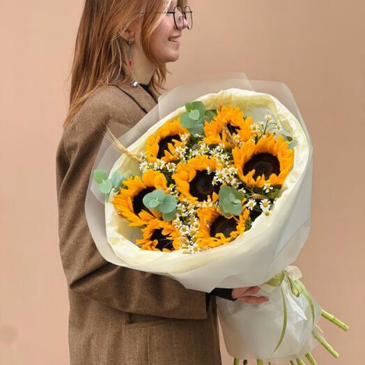 Яркие подсолнухи 🌻