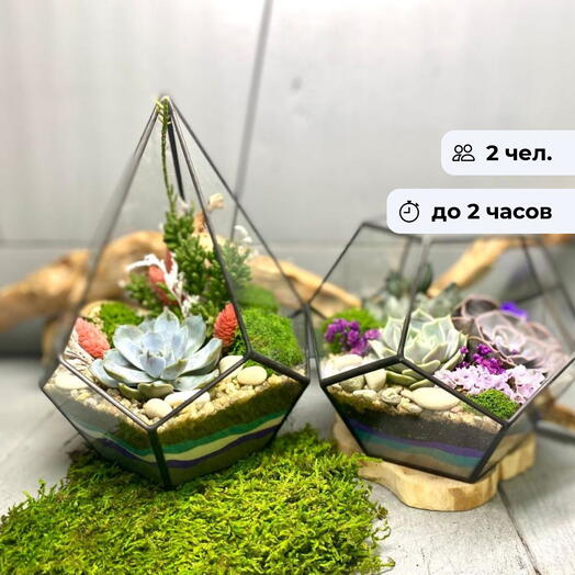 Ботаническая сказка.  Индивидуальный мастер-класс по созданию флорариума