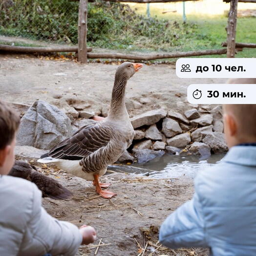 Пора приключений. Посещение зоопарка
