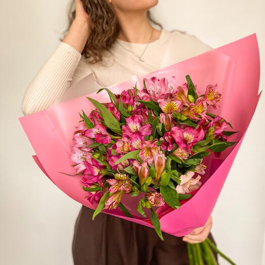 Малиновые краски