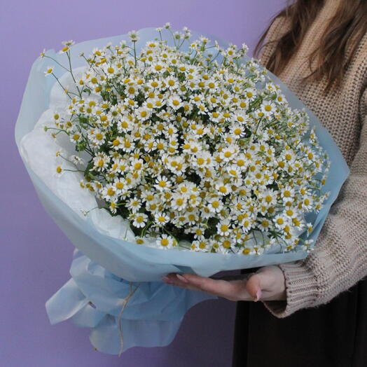 Букет кустовых ромашек, 25 штук
