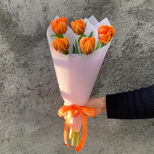 Orange Tulip