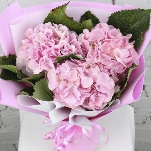 Bouquet of 3 pink hydrangeas in a package
