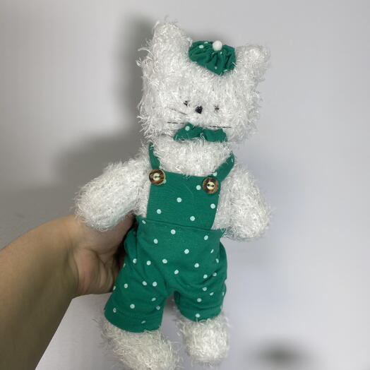 Котик в зелёном комбинезоне