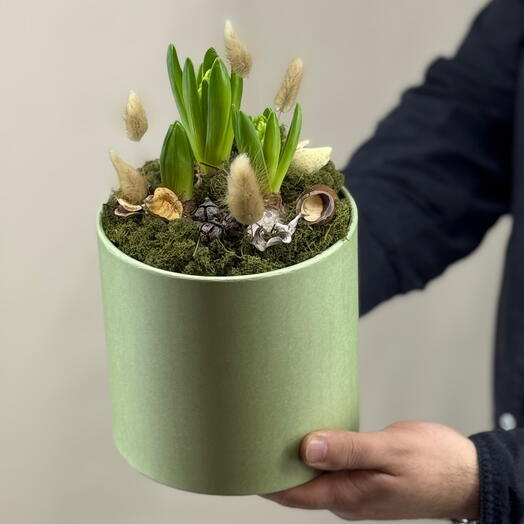 Эко-композиция из гиацинтов в шляпной коробке