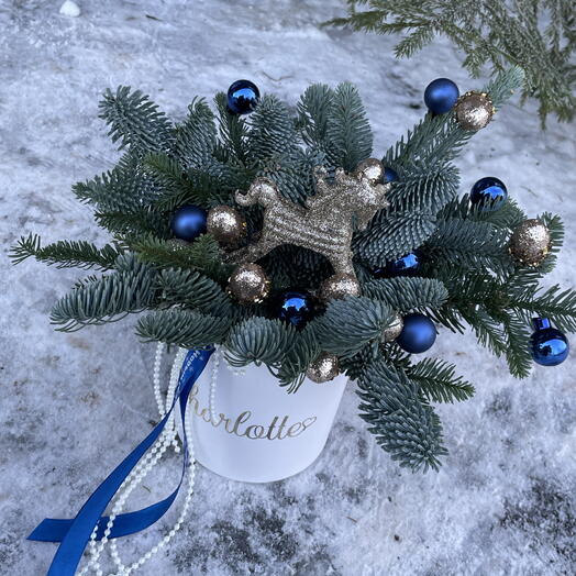 Зимний бокс с живой елью в синей гамме