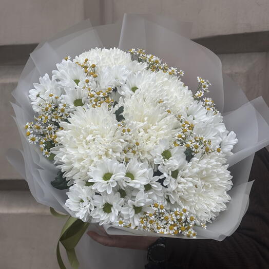 Ромашковое поле 🌱