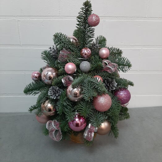 Ель новагодняя