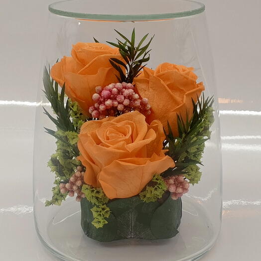 Натуральные кустовык розы в стекле, вакуум (RF2.5550or)
