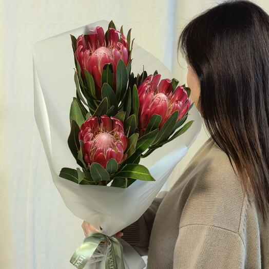 Протея 3шт в букете🌸