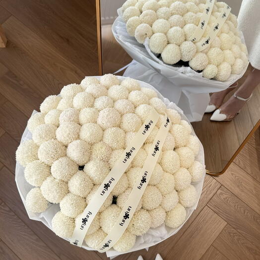 Рафаелки момоко