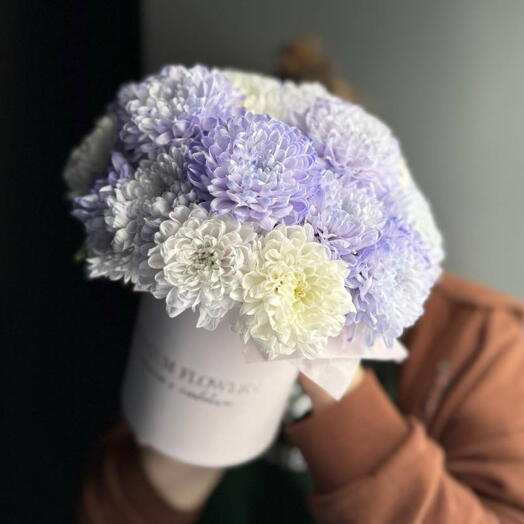 -10%АКЦИЯ💜Композиция комплимент фиолетовый /Хризантемы в коробке xs /кустовая хризантема/доставка Уфа/цветы Уфа