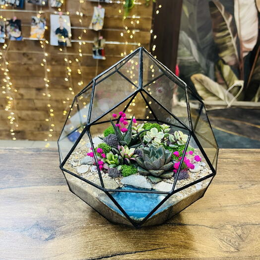 Флорариум Бутон с суккулентами