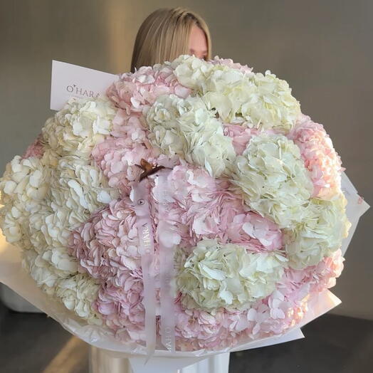 Гортензии пышный букет 🤍