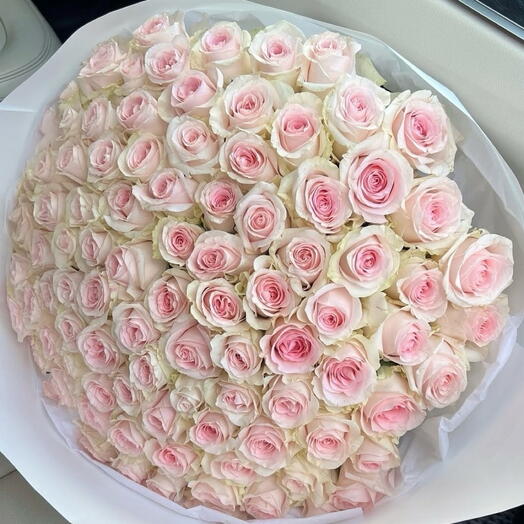 101 нежная Роза 🎀