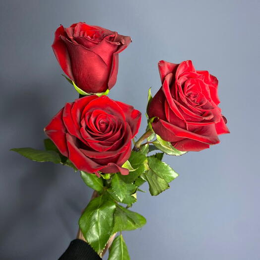 Скидка 30%🔥 3 розы на ленте