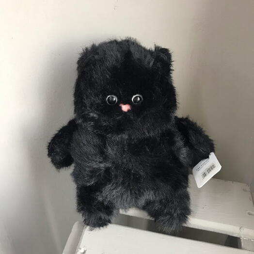 Чёрный котенок