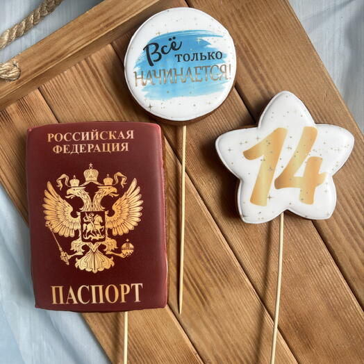 Пряники «Паспорт» для мальчика