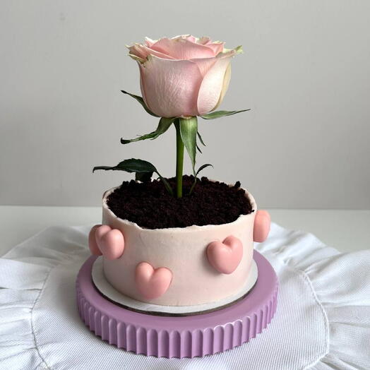Бенто-торт "горшок с цветком" подарок на 8 марта, для любимой, для девушки, для мамы
