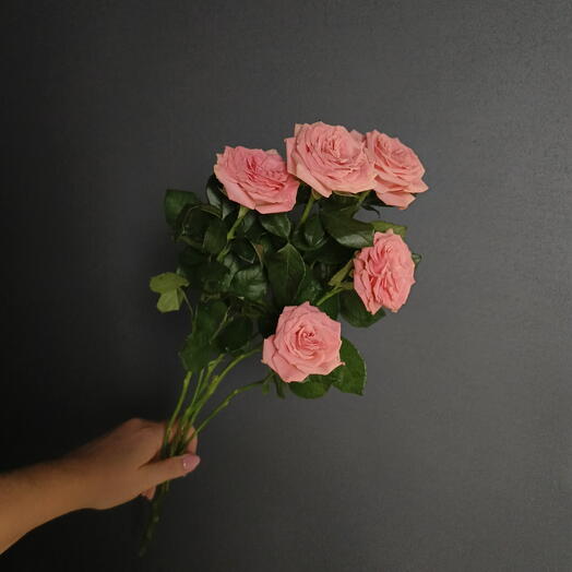 Роза кустовая "Розовый персик"/цветы штучно/Цветы в Магнитогорске