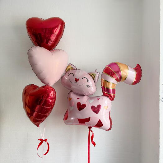Воздушные шары *Кошечка*