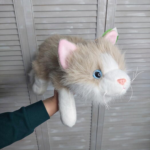 Кот бежевый 40см