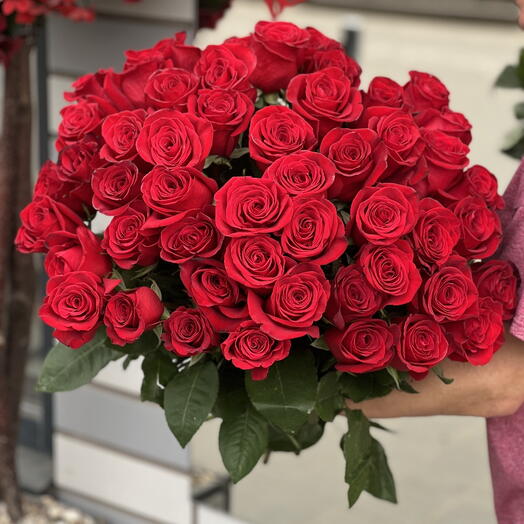51 красная роза под атласную ленту 🌹Красные розы Дофаминовый букет