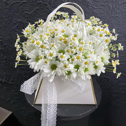 Сумочка с ромашками🌼