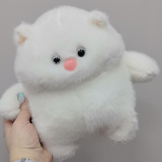 Кот белый