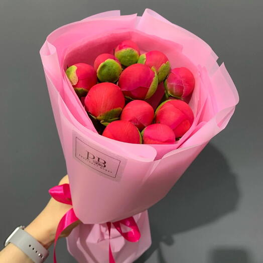 Пионы Коралловые 11 штук