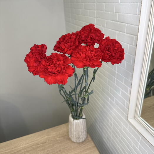 Гвоздика 6шт (красная)