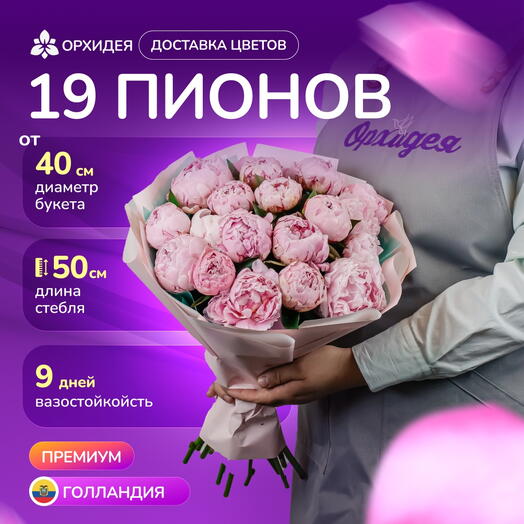 19 пионов "Сара Бернар"