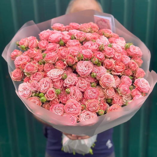 Spray rosess