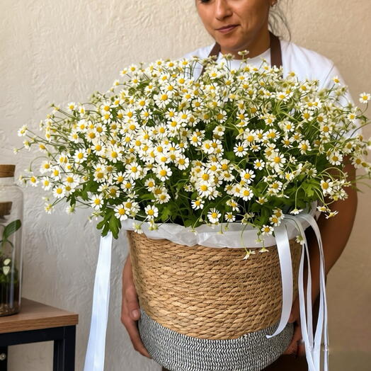 Ромашки в плетеной корзине