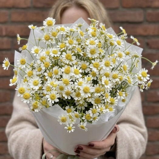 Небольшой букет из 7 кустовых ромашек🌾