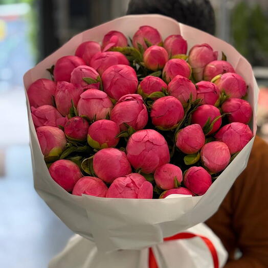 Пионы коралловые 39 штук