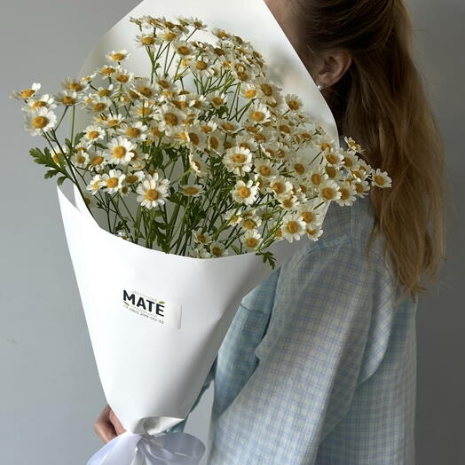 Букет из матрикарии ( ромашка Камила, танацетум) 5 шт