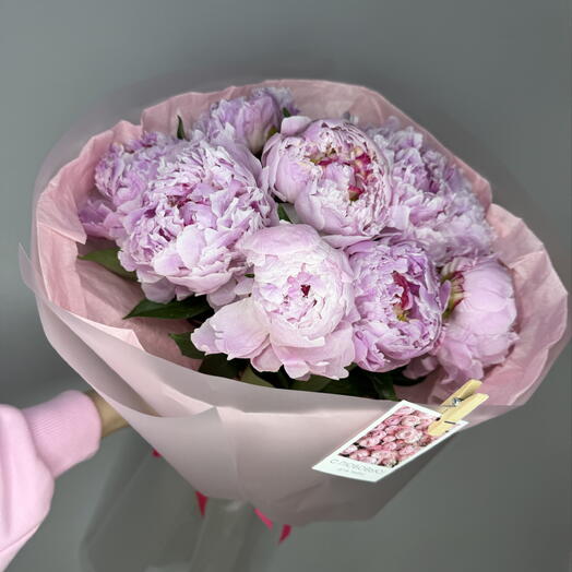 Пионы розовые 9 штук
