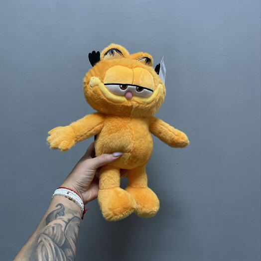 Рыжий кот