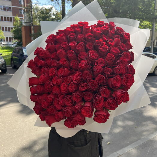 101 крупная красная Роза