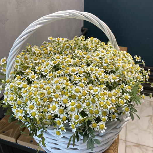 Корзина ромашек