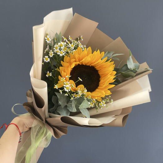 Подсолнух🌻